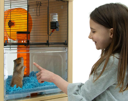 Girl looking at a Hamster in the Qute