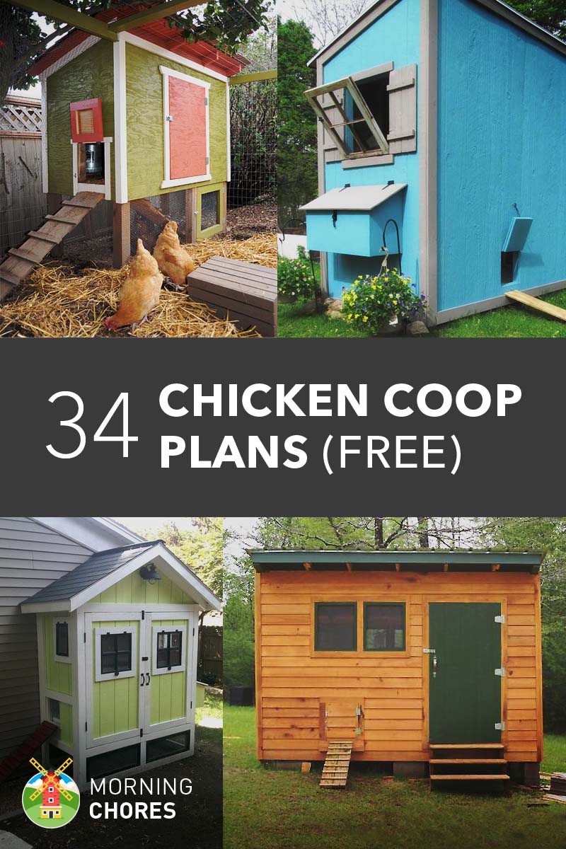 Chicken Coop Plans