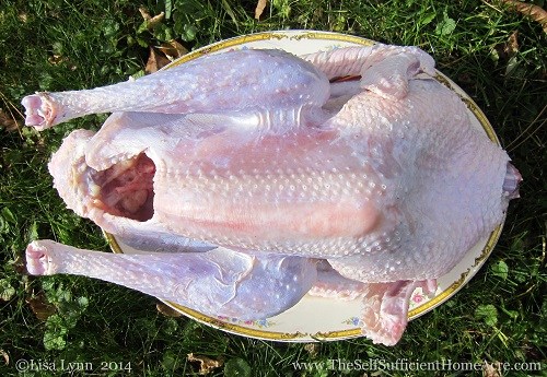 Butchered Turkey