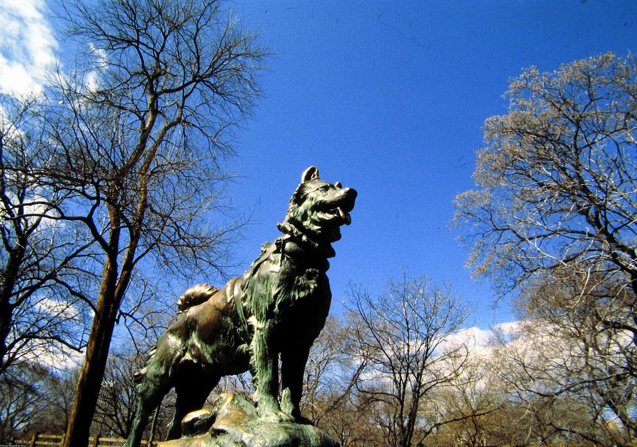 Памятник Балто стоит в нью-йоркском Центральном парке. Фото: EAST NEWS