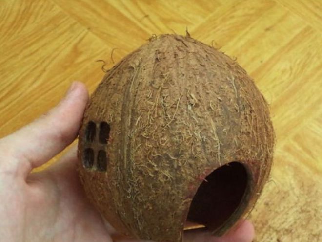 Домики для хомяка из кокоса
